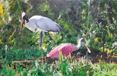 Stork and Spoonbill