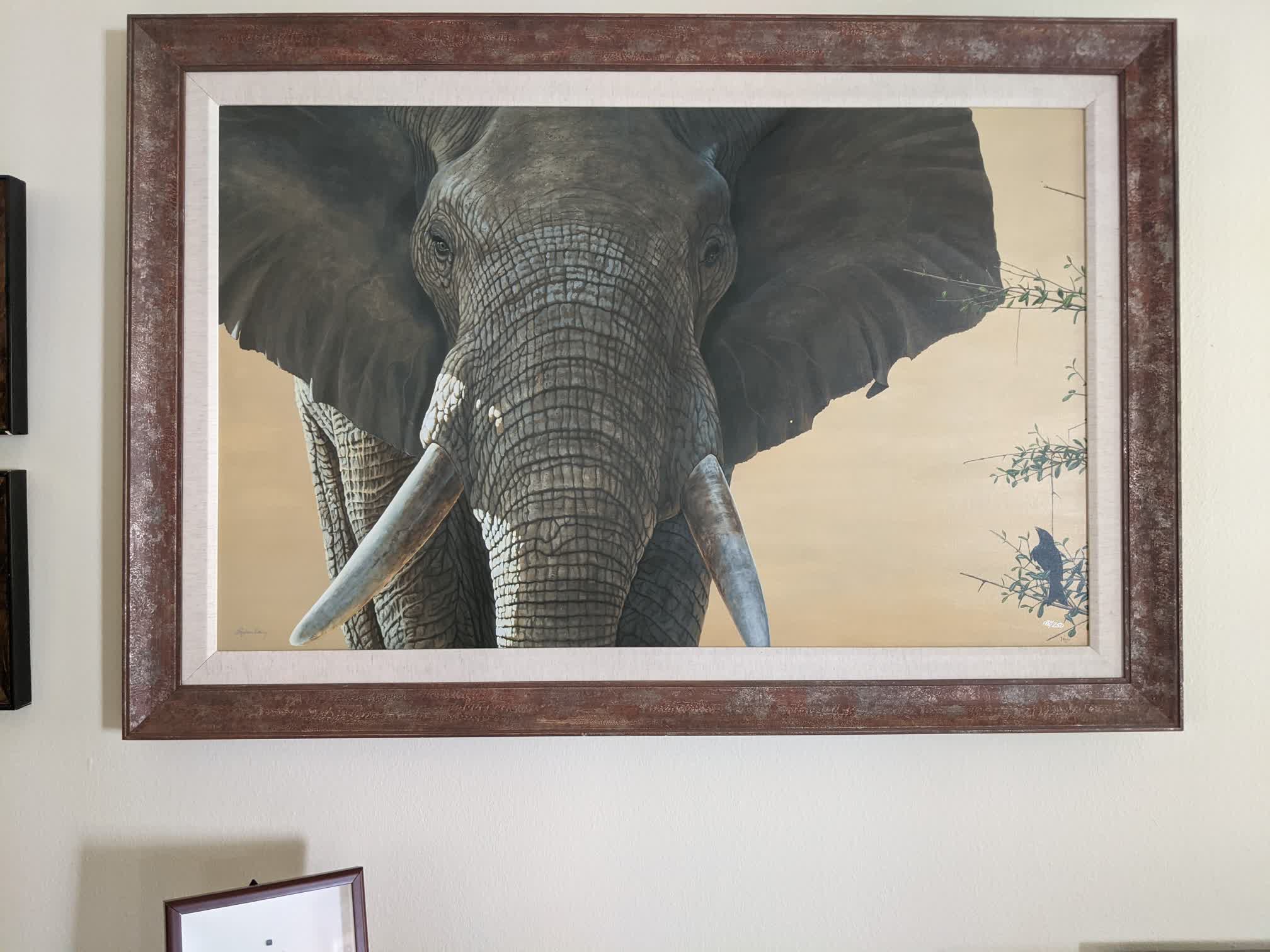 Wisdom the Elephant, displayed in Koury's Studio