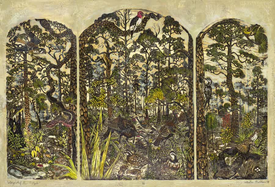 Longleaf Pine Triptych