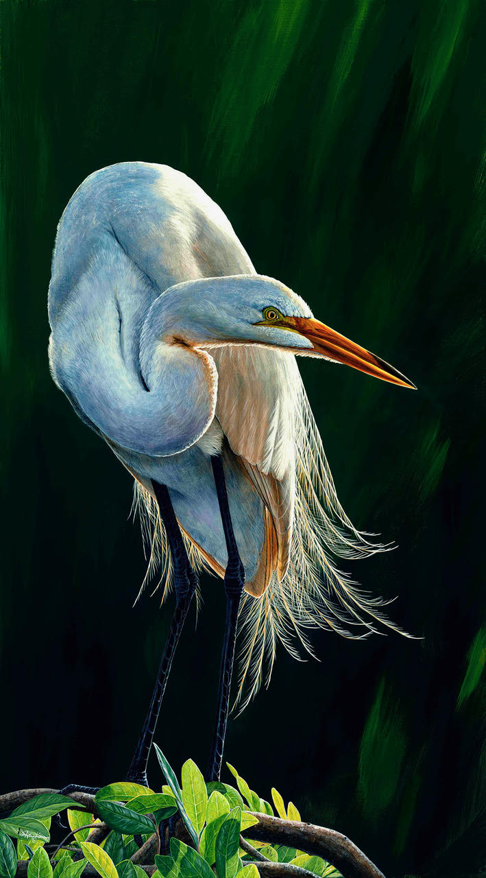 'Great Light Great Egret II', by Stephen Koury