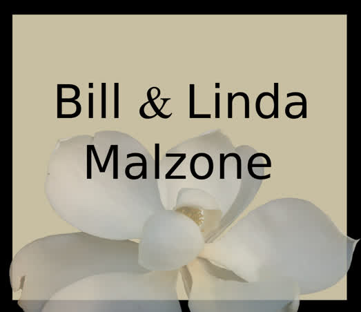 Bill and Linda Malzone